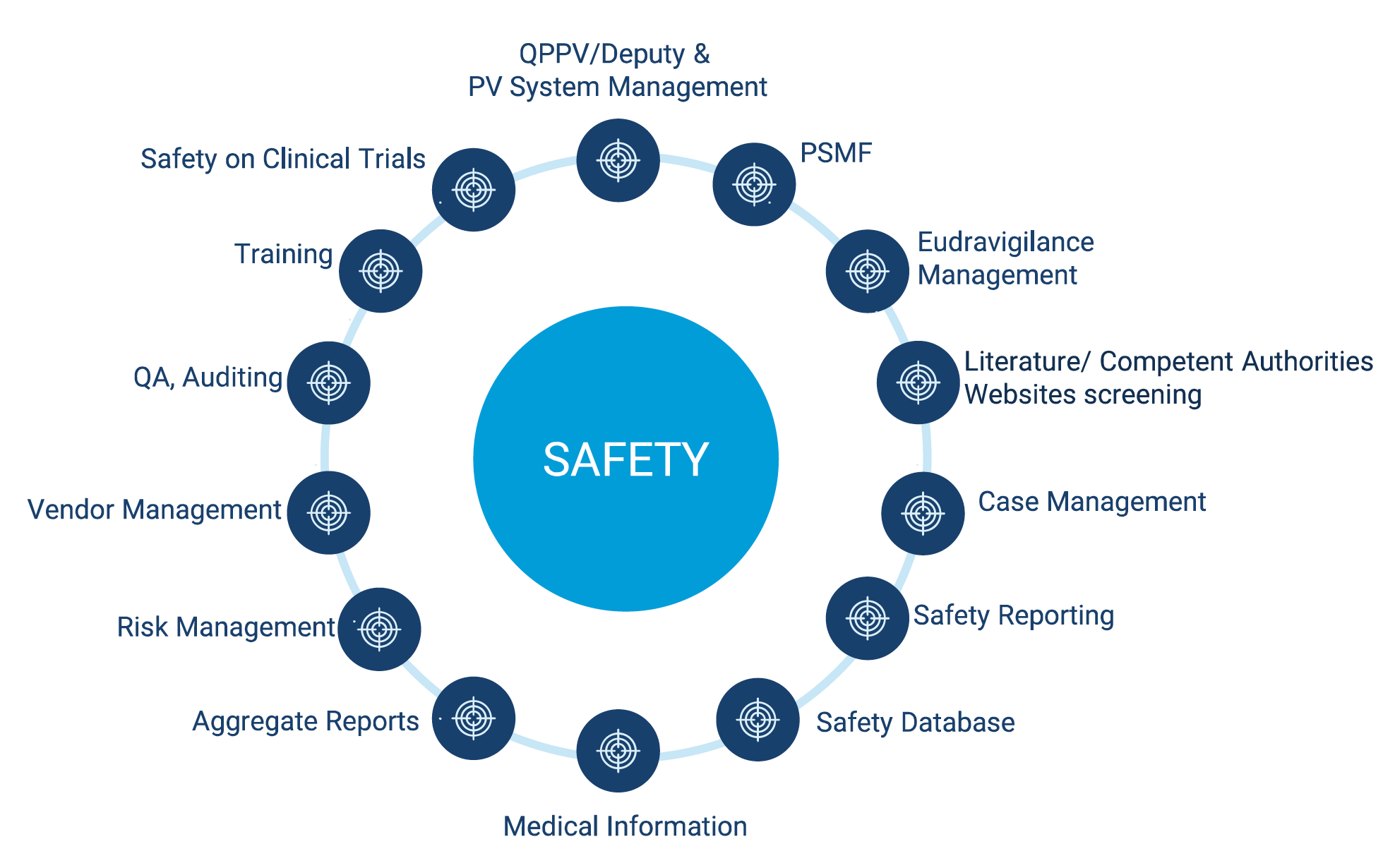 schematic report of pharmacovigilance activities